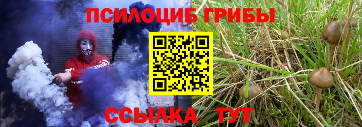 Галлюциногенные грибы мицелий Вятские Поляны